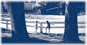 Barn and Paddock